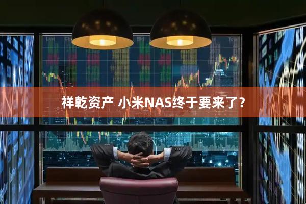 祥乾资产 小米NAS终于要来了？